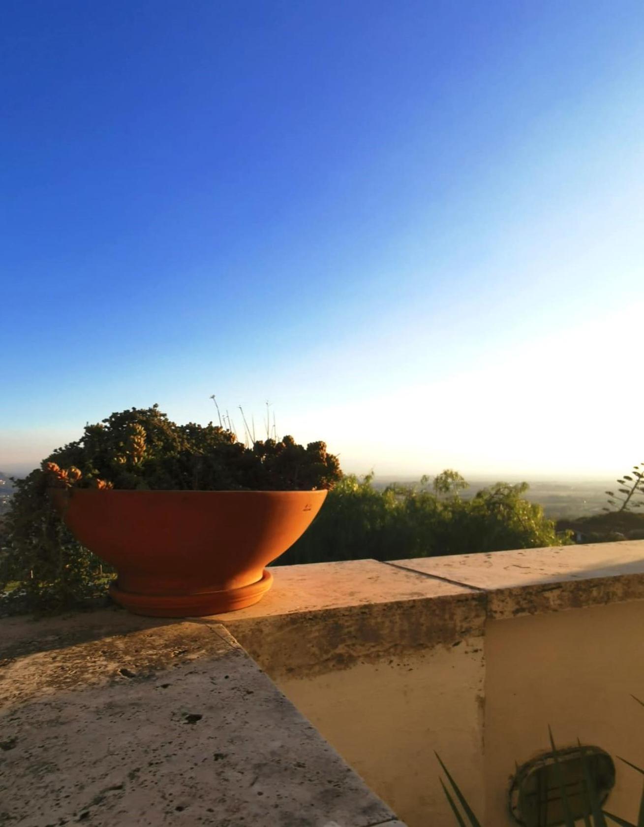 Villa Dei Romani - Country House Guidonia Montecelio ภายนอก รูปภาพ
