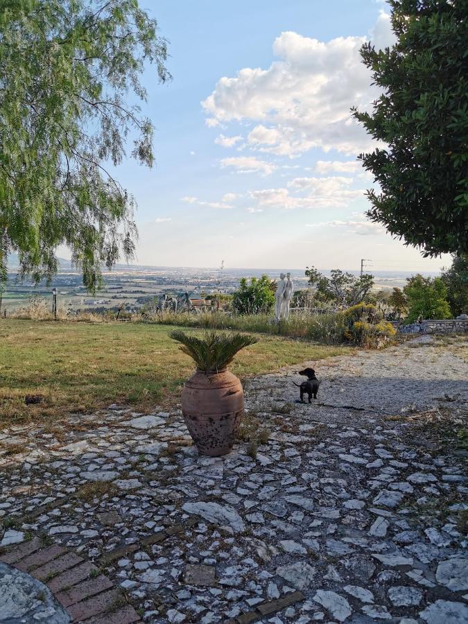 Villa Dei Romani - Country House Guidonia Montecelio ภายนอก รูปภาพ